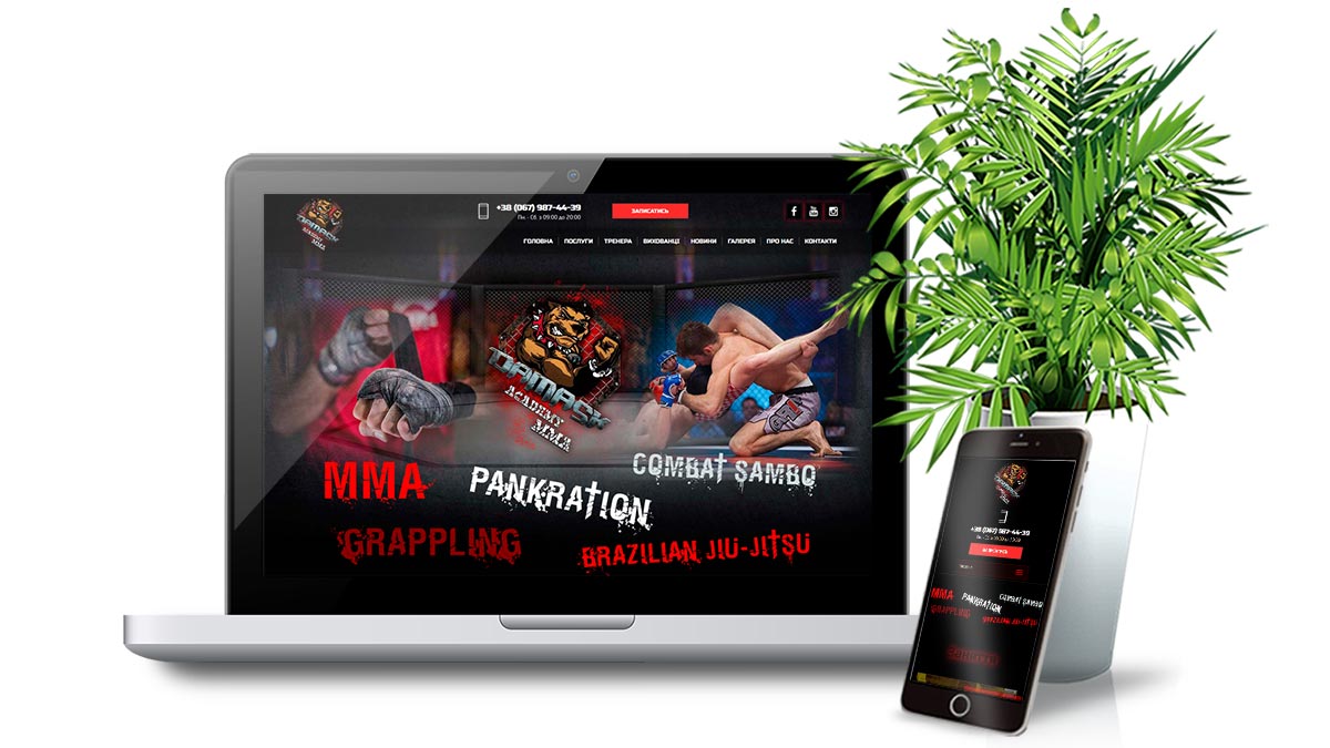 Корпоративний сайт академії змішаних бойових мистецтв MMA «ДАМАСК»